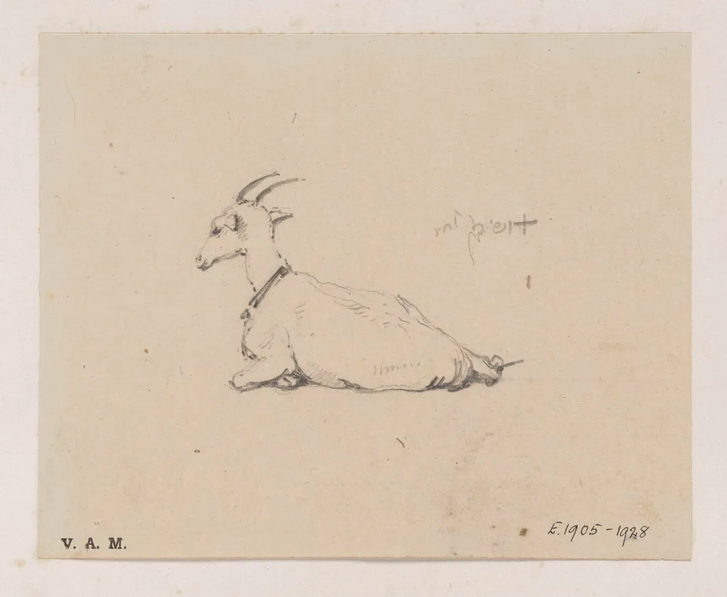 A reclining goat, by George Chinnery, 19