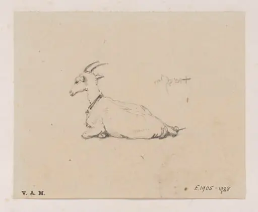 A reclining goat, by George Chinnery