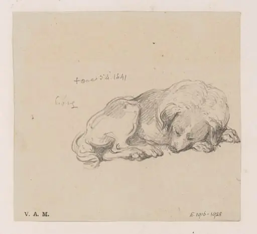 A sleeping dog, by George Chinnery