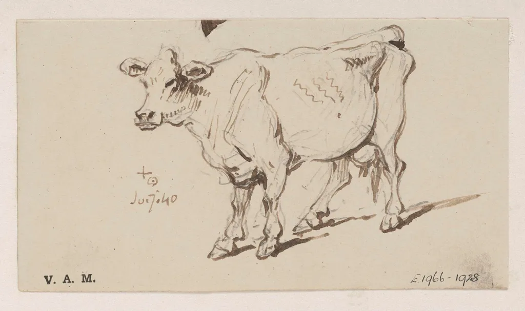 A standing cow, by George Chinnery, 7