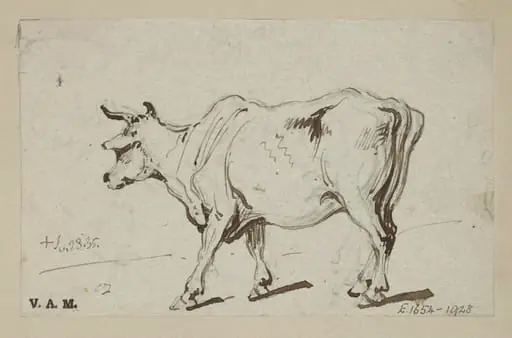 A standing cow, by George Chinnery