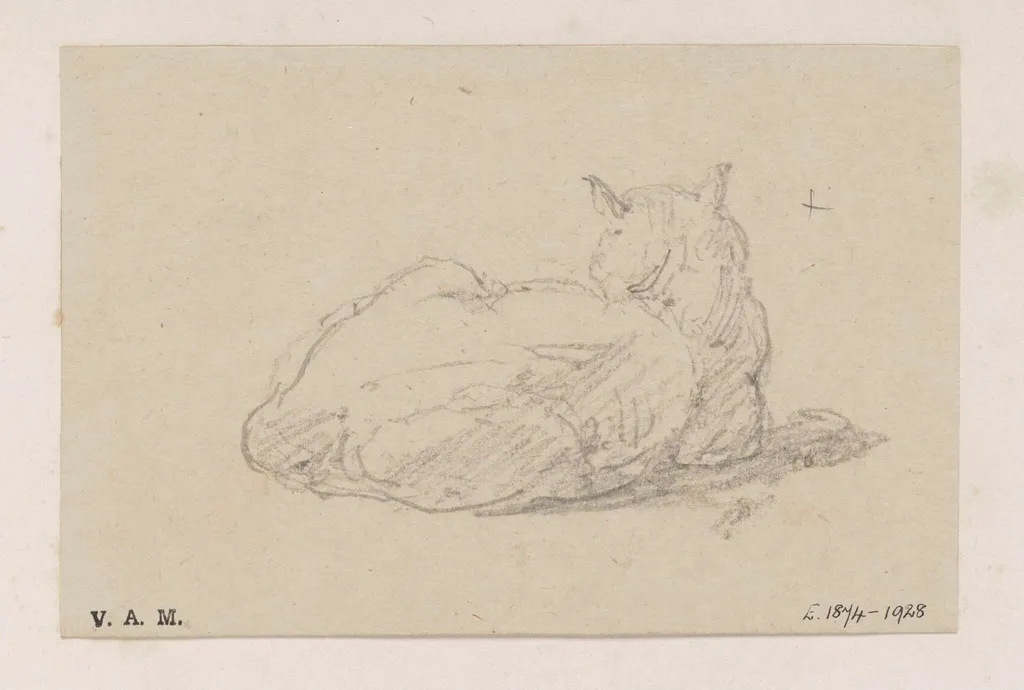 A study of a cat, by George Chinnery, 19