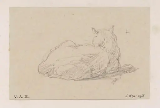 A study of a cat, by George Chinnery