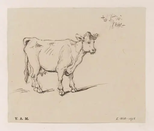 A study of a cow, by George Chinnery