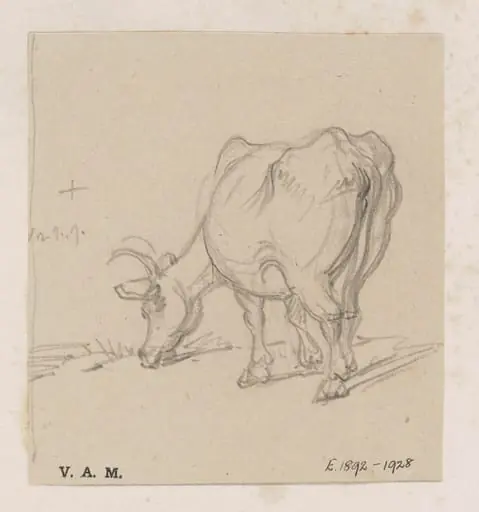 A study of a cow, by George Chinnery
