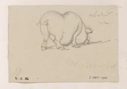 A study of a pig, by George Chinnery