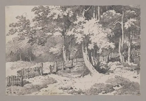 A wooded landscape with a fence and path, by George Chinnery