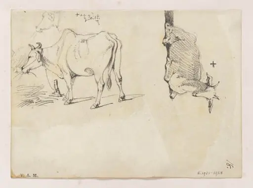 An Indian cow, and a goat, by George Chinnery