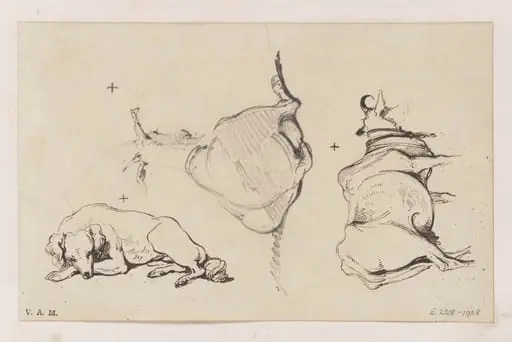 Animals, by George Chinnery