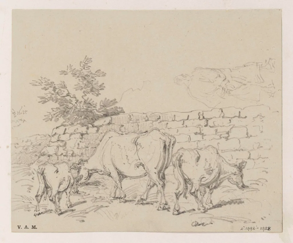 Cattle by a wall, by George Chinnery, 14