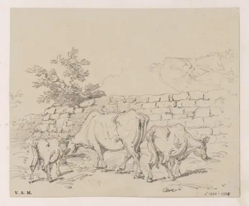 Cattle by a wall, by George Chinnery