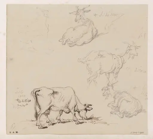 Cows and goats, by George Chinnery