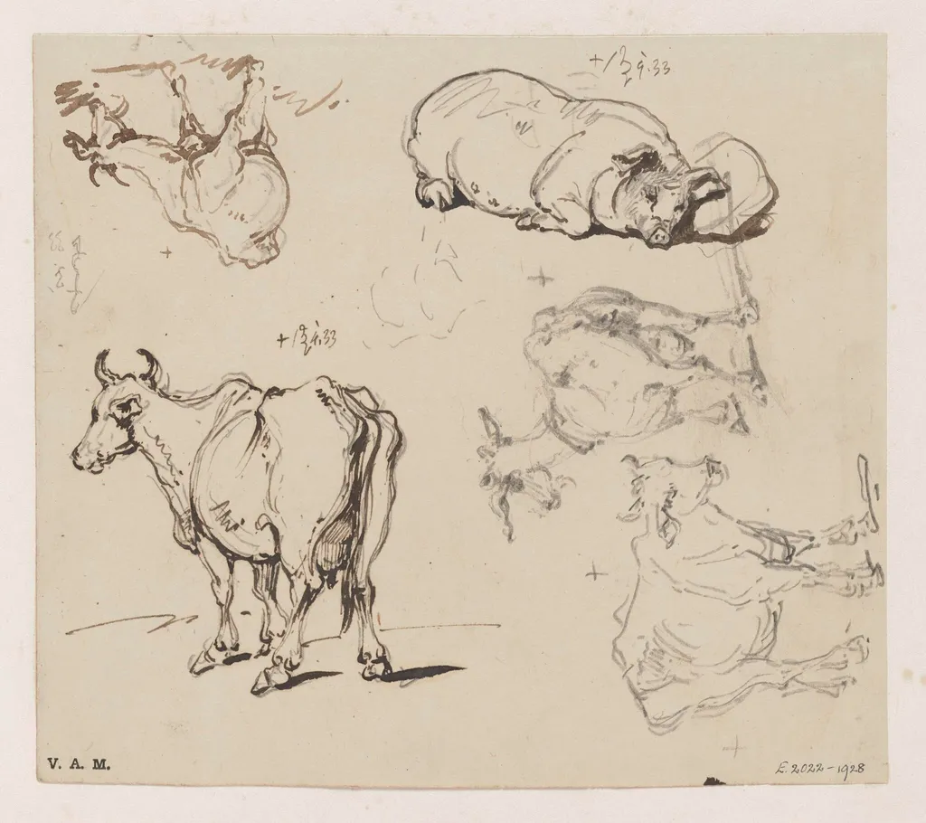 Drawings of animals, by George Chinnery, 6
