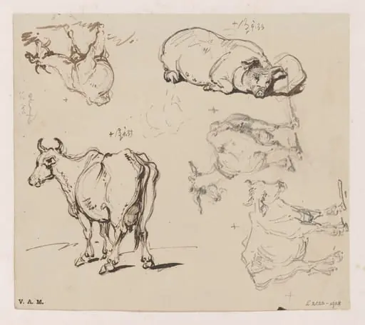 Drawings of animals, by George Chinnery