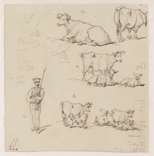 Drawings of cattle and a soldier, by George Chinnery