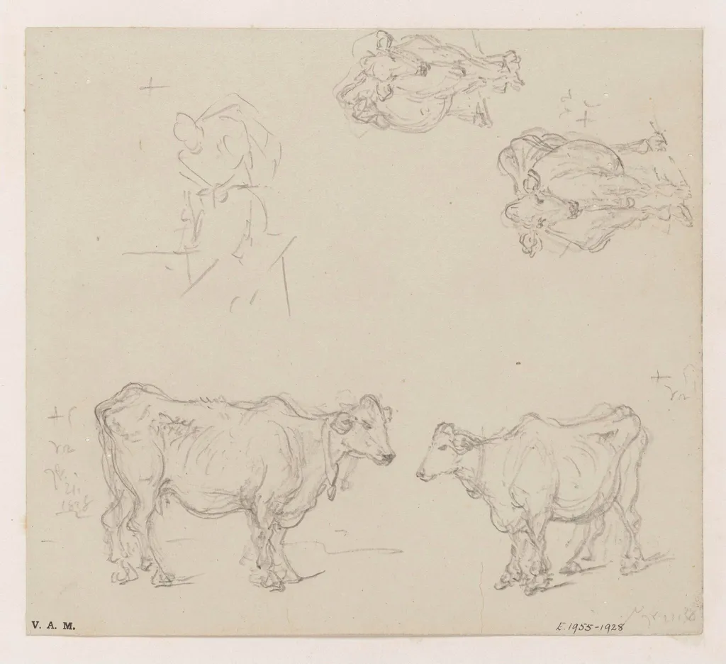 Four drawings of cows, by George Chinnery, 12