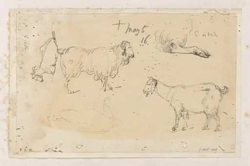 Indian livestock, by George Chinnery