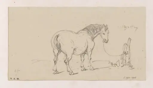 Mr Beale's horse, by George Chinnery