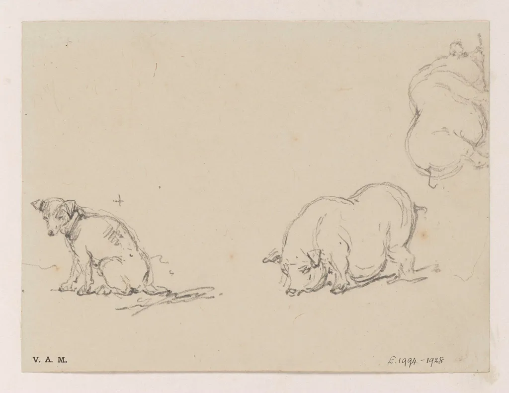 Pigs and a dog, by George Chinnery, 19
