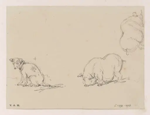 Pigs and a dog, by George Chinnery
