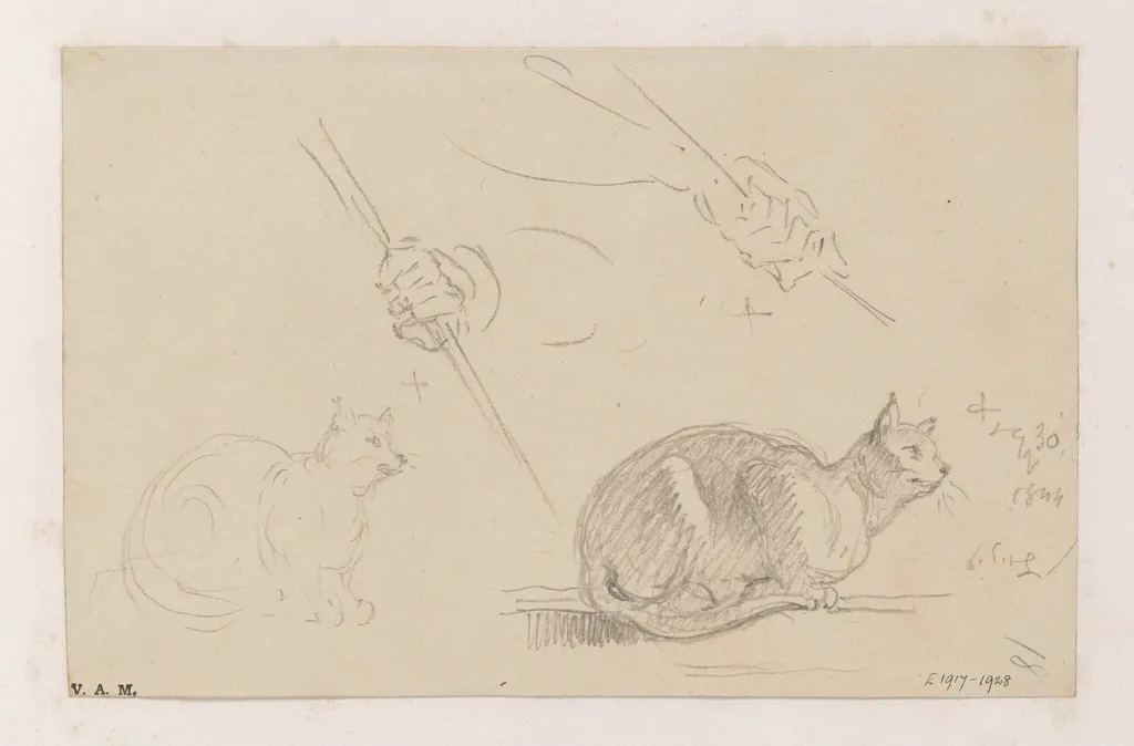 Studies of cats, and of a hand holding a pole, by George Chinnery, 20