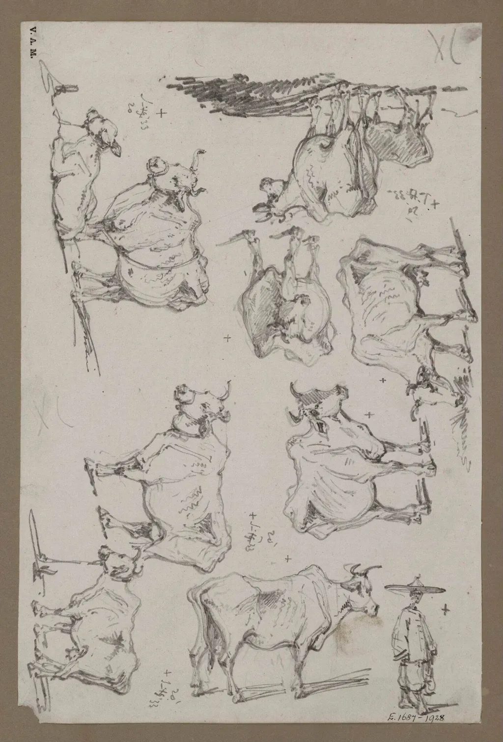 Studies of cattle, by George Chinnery, 13