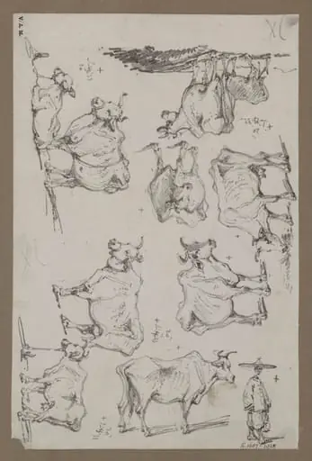 Studies of cattle, by George Chinnery