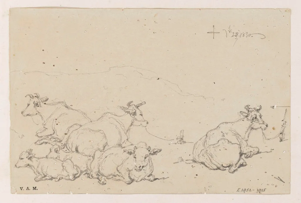Studies of cows, by George Chinnery, 1830