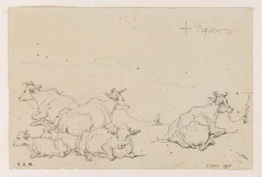 Studies of cows, by George Chinnery