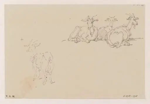 Studies of goats, by George Chinnery