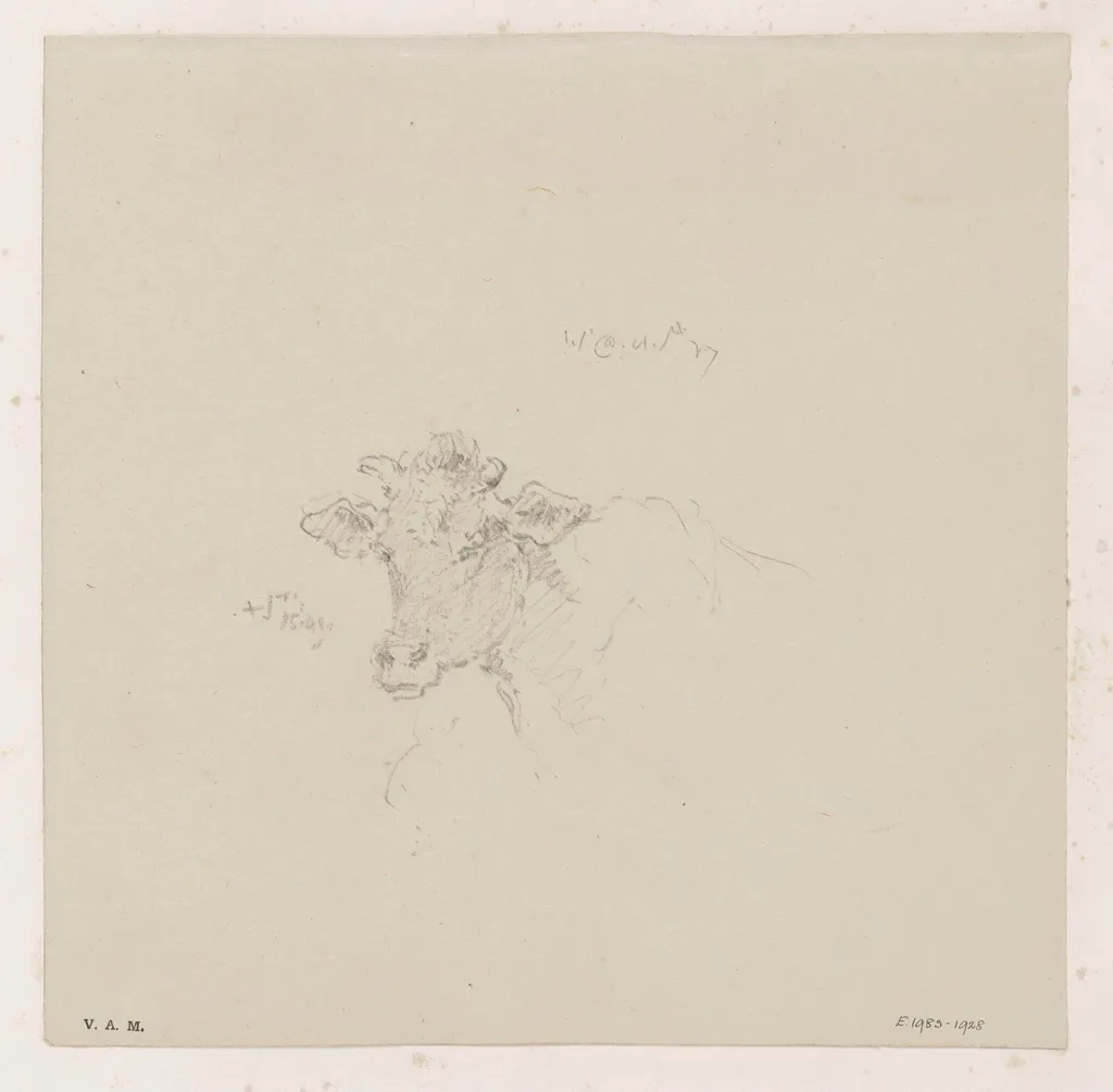 The head of a cow, by George Chinnery, 8