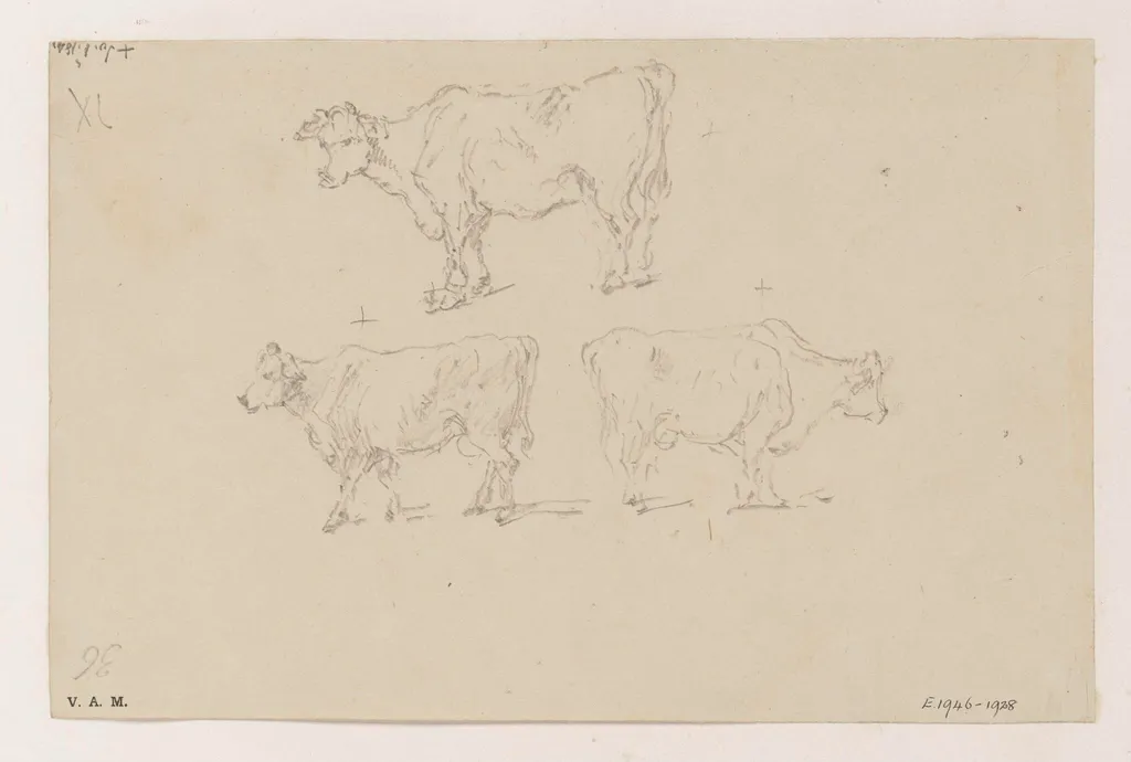 Three cows, by George Chinnery, 4