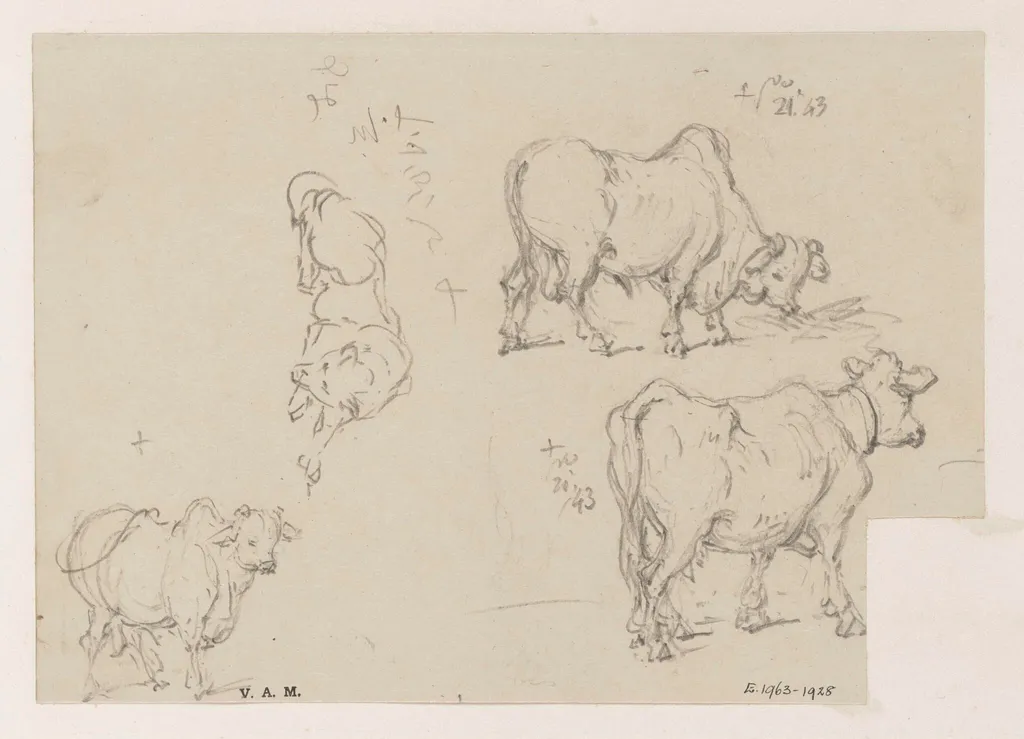 Three drawings of a cow, and one of a dog, by George Chinnery, 12