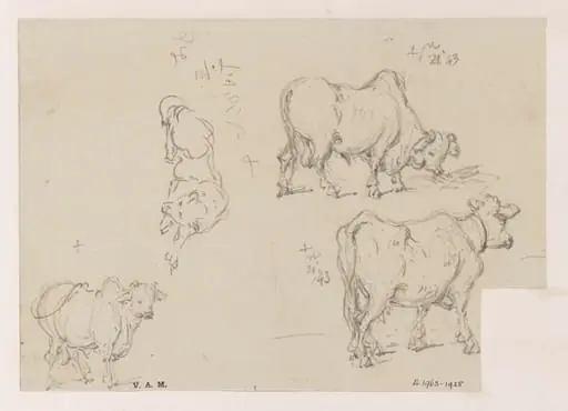 Three drawings of a cow, and one of a dog, by George Chinnery