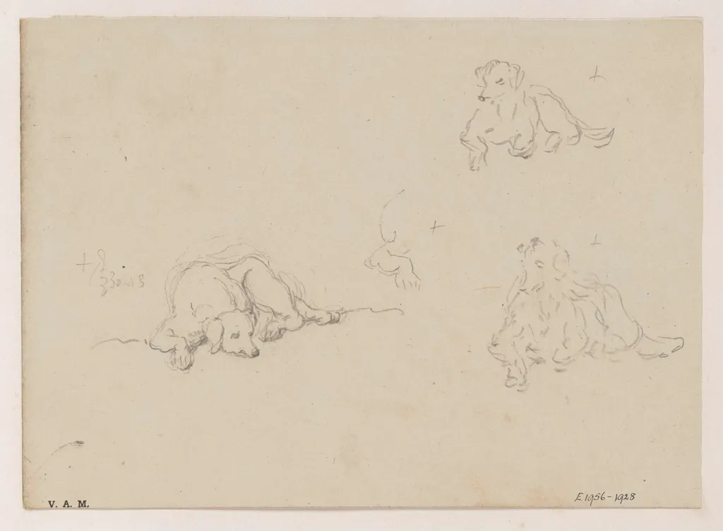 Three drawings of a dog, by George Chinnery, 20