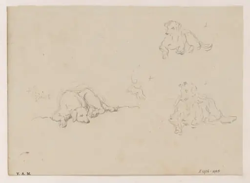 Three drawings of a dog, by George Chinnery