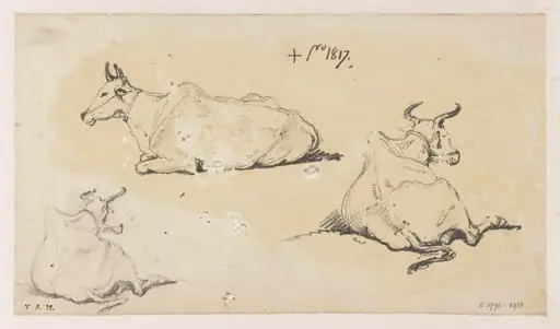 Three drawings of humped cattle, by George Chinnery