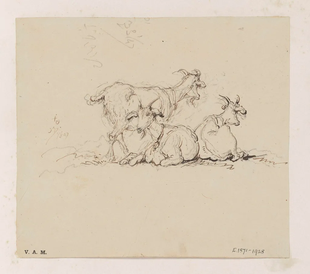 Three goats, by George Chinnery, 11