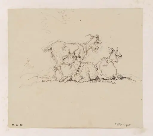 Three goats, by George Chinnery