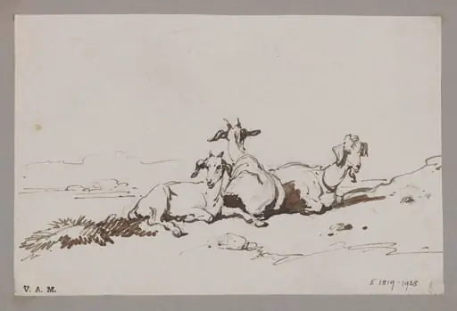 Three goats, by George Chinnery
