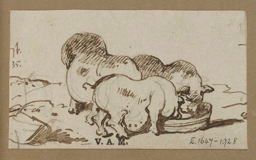 Three pigs, by George Chinnery, 2
