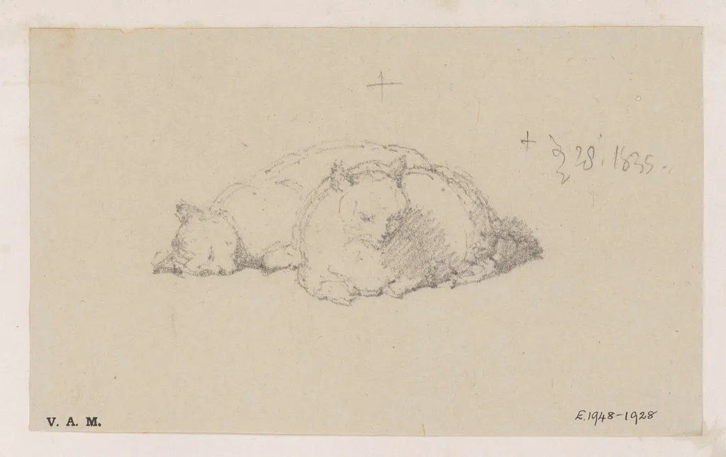 Two cats, by George Chinnery, 20