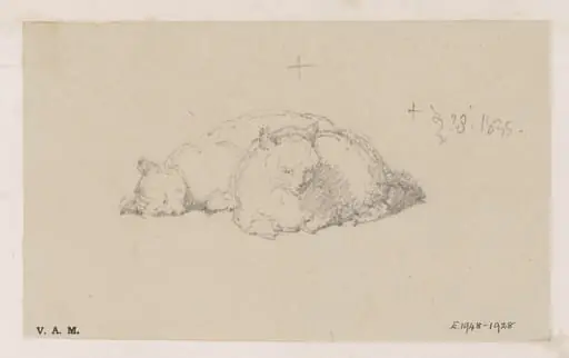 Two cats, by George Chinnery