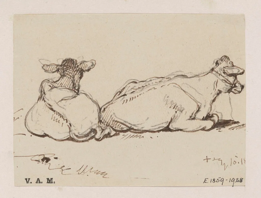 Two cows, by George Chinnery, 10