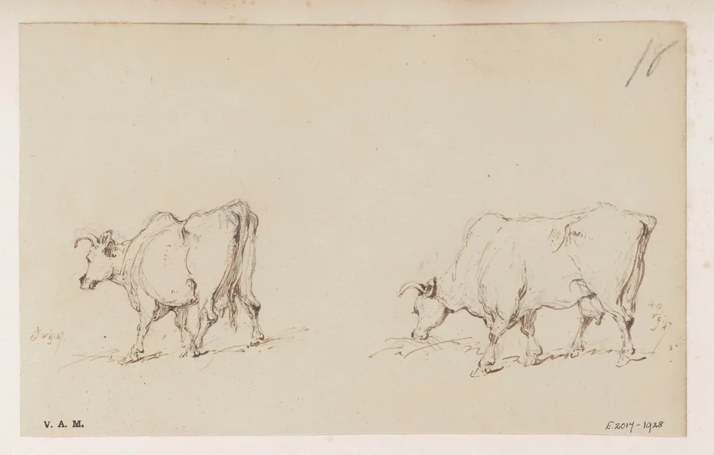 Two drawings of a cow, by George Chinnery, 6