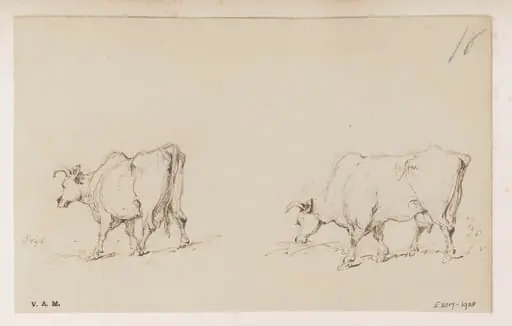 Two drawings of a cow, by George Chinnery