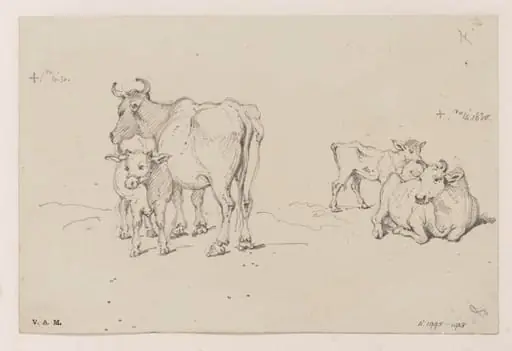Two drawings of a cow and calf, by George Chinnery