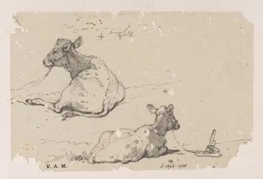 Two drawings of a tethered calf, by George Chinnery
