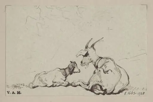 Two goats, by George Chinnery