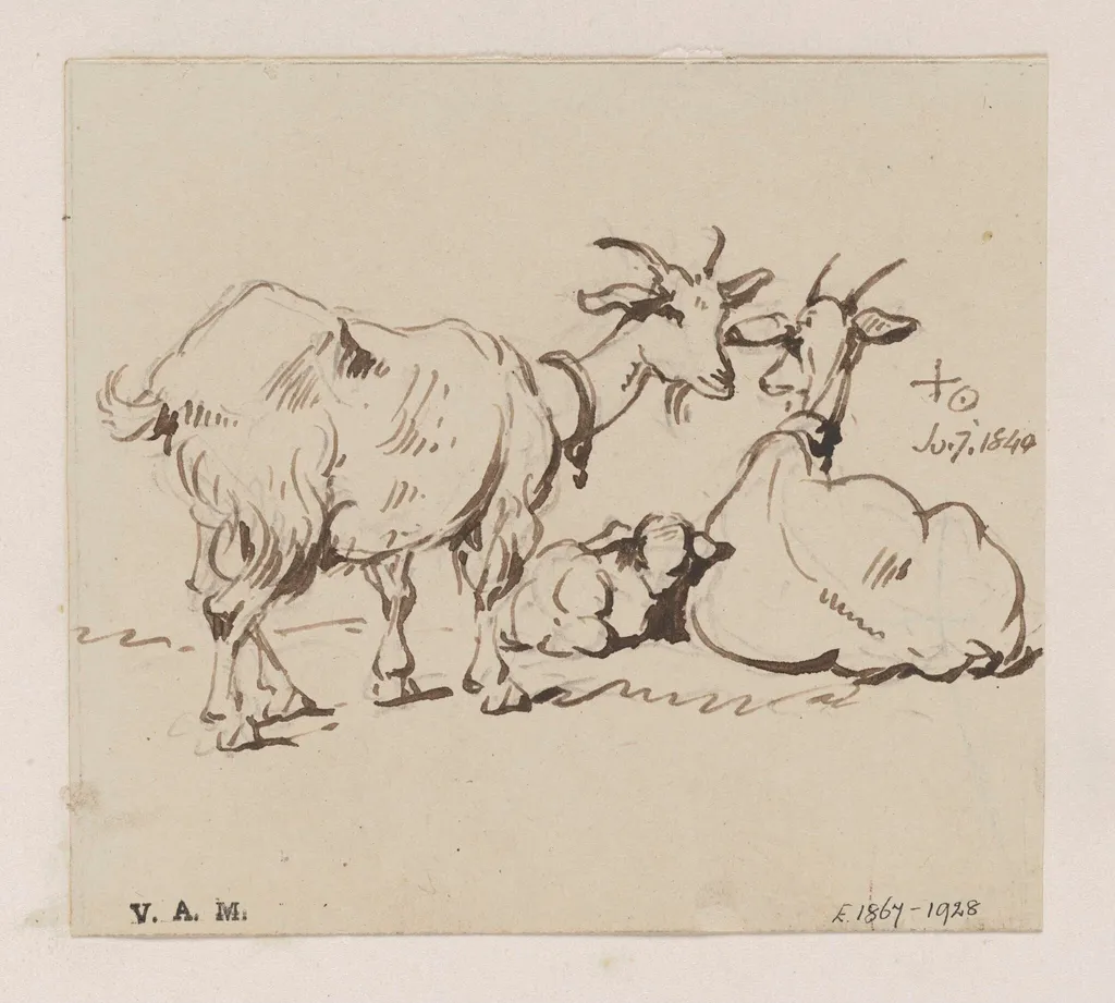 Two goats and a kid, by George Chinnery, 7